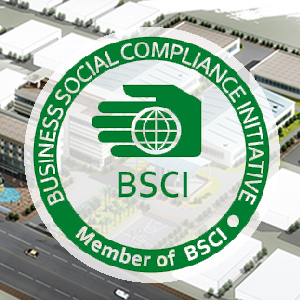 NewbellTech passed BSCI Audit